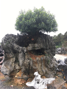 景观石盆景太湖石盆景假山石盆景6