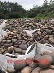 广东生产鹅卵石厂家、河道开采天然鹅卵石、扁圆鹅卵石铺装