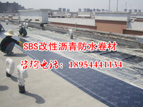 十堰/宜昌/襄阳（SBS改性沥青防水卷材，SBS防水卷材）图片4