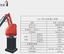 蓝光LG-SR210自动码垛机器人图片