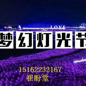 夢幻燈光節(jié)出租出售