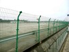 清远使用寿命长-养殖场荷兰网-铁丝网养鸡围栏网-包塑波浪网，圈地护栏网