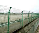 清远使用寿命长-养殖场荷兰网-铁丝网养鸡围栏网-包塑波浪网，圈地护栏网图片