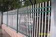 广东惠州框架护栏网庭院绿地围栏价格实惠别墅铁艺大门隔离网