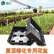  Light roof green garden roof green roof flowerpot manufacturer