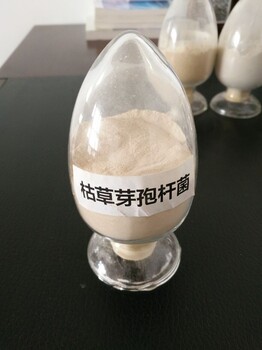 枯草芽孢桿菌水產(chǎn)養(yǎng)殖枯草芽孢桿菌枯草芽孢