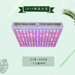 承越科技2019新品CYW-300W大棚室内蔬菜瓜果种植灯7种光谱可调可选led植物生长补光灯