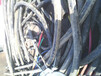 山东高价回收废电缆,废电缆多少钱一吨
