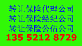 投资集团公司转让5000万纯投资公司转让图片4