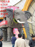襄樊机械大象出租展览暖场机械大象租赁图片0