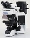 奥林巴斯BX53LED新品显微镜