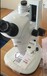 尼康SMZ745显微镜