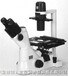 新品TS2尼康倒置显微镜