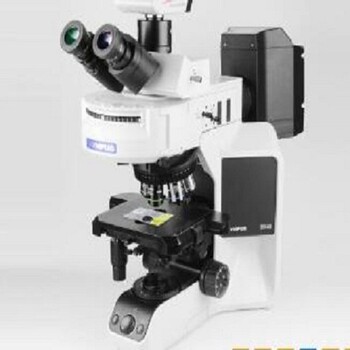 奥林巴斯BX53显微镜参数