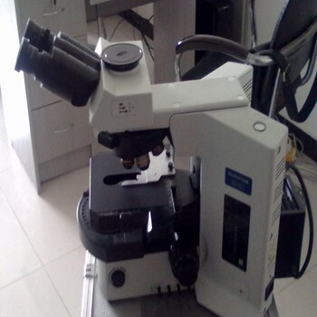 奥林巴斯金相显微镜BX53M好产品好价格