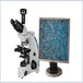 熒光顯微鏡--皮膚真菌