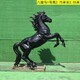 玻璃钢马雕塑图