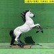 马雕塑制作图