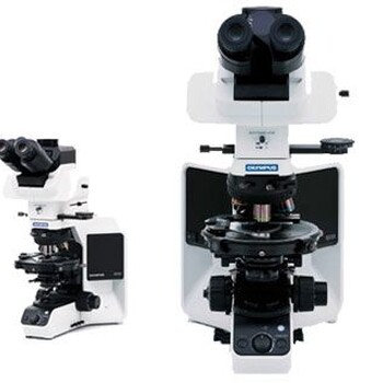 偏光显微镜偏光显微镜价格奥林巴斯偏光显微镜