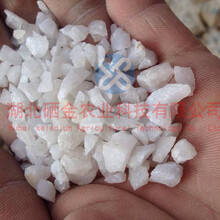 河南鄭州硅肥供應100-325目玉米礦物硅肥Sio>21.6%圖片