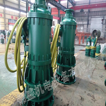 bqs排沙泵配件华光泵配件心传防爆泵配件五星泵配件