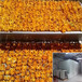 杏子干燥机热泵空气能烘房厂家