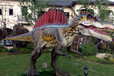 恐龙模型鲸鱼岛乐园蜂巢迷宫出租