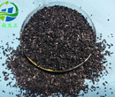 广安椰壳活性炭价格行情图片