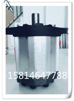意大利settima螺杆泵GR47C28CC平键/花键注塑机油泵