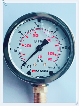 德玛仕/DMASS耐震压力表60mpa/600bar径向/侧接G1/4牙