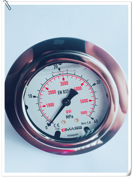 注塑机压铸机压力表工业型油压表双刻度径向/轴向充油防震压力表
