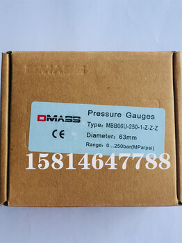 供应DMASS压力表注塑机油压表1mpa侧接/背接G1/4牙G1/2螺纹