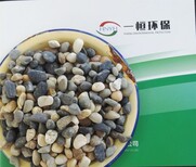 鹅卵石滤料选择标准鹅卵石水处理常用规格图片4