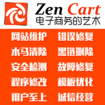 ZenCart外贸网站建设及网站维护企业网站建设图片0