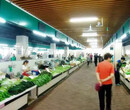 蘇州新民橋農貿市場設計案例圖片