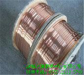 C5210磷铜扁线，高硬度磷铜线耐腐蚀性好图片0