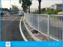 梅州道路改造项目人行道路护栏更换马路中间隔离栏杆安装图片4