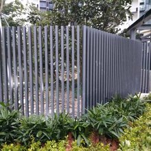 江门公园金属防护栏鹤山厂区金属防护栏杆新会学校金属防护栅栏图片