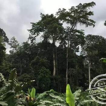 珍荣家私特辑：《走进非洲》（集）