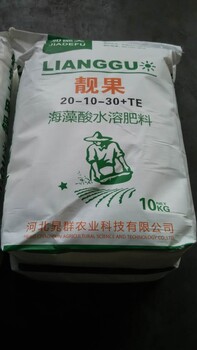 靚果海藻酸大量元素水溶肥促進果實膨大