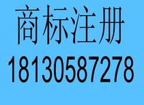 淮北商标注册,企业商标注册在哪办理,需要多久图片3