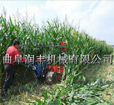 农作物收割机自走式稻谷收割机自动晾晒割晒机图片3