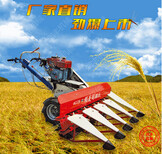农作物收割机自走式稻谷收割机自动晾晒割晒机图片1