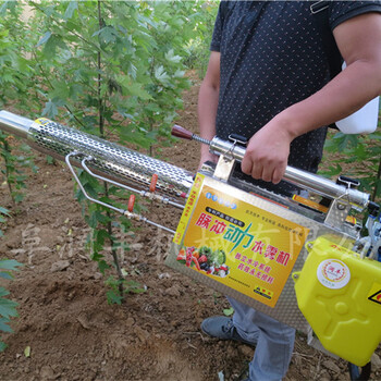 立水冷大棚弥雾机多功能汽油种植弥雾机