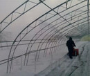 背負式大棚吹雪機大功率汽油吹雪機