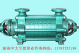 DG25-50系列中低压卧式锅炉给水泵湖南中大制造商