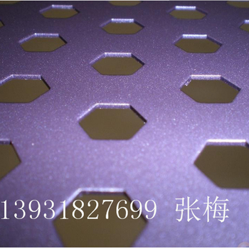 供應聲屏障沖孔板消音沖孔網(wǎng)廠家公路消音沖孔網(wǎng)聲屏障