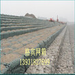 湖南永州水利格宾网驳岸生态镀锌宾格网上锌量足格宾笼实体厂家