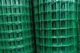 重庆南岸浸塑电焊网厂家荷兰网定做直供厂家品质有保障