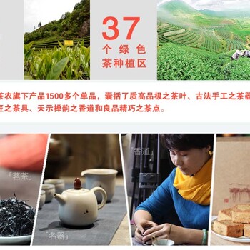 三千茶农品牌连锁加盟